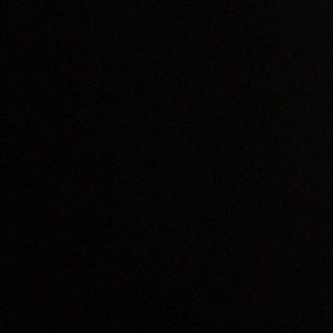 Meet your Posher, Delaney